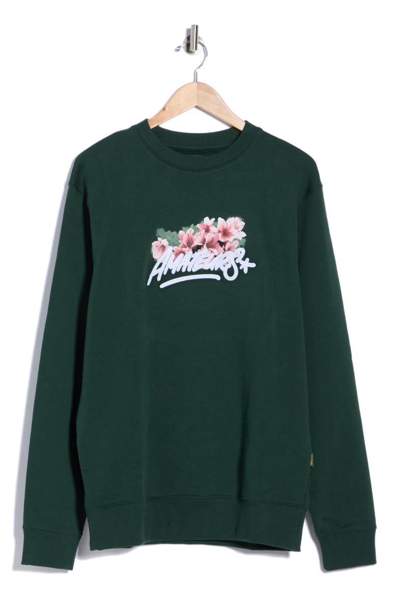 Amateurs 25 Graphic Sweatshirt, Main, color, PINE GROVE