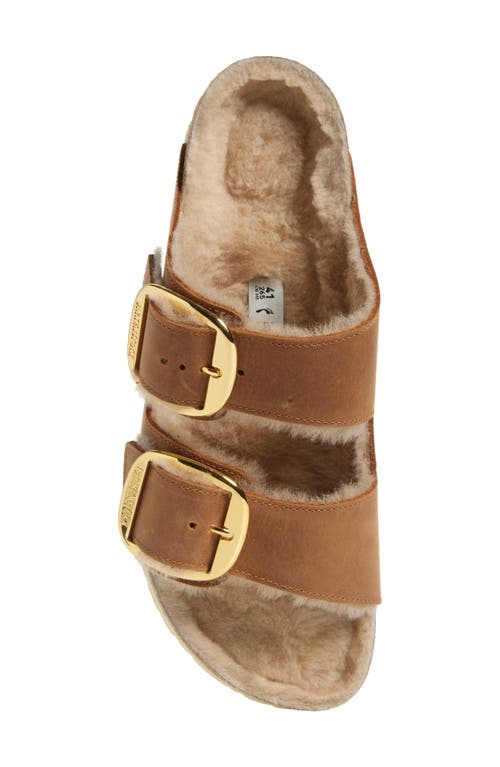 Birkenstock Arizona Big Buckle Genuine Shearling Lined Sandal In Brown