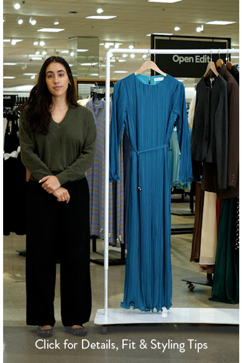 Armena Pleated Long Sleeve Dress video