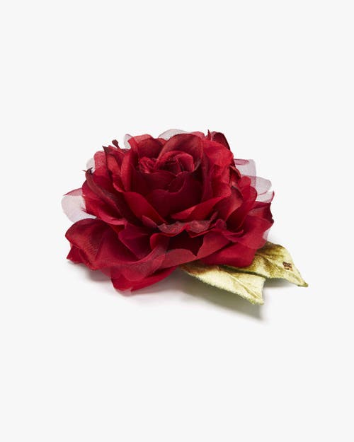 Helena Simon The Small Red Rose In Red