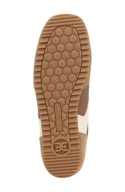 Shop Sam Edelman Zaria Low Top Sneaker In Khaki Moss/cream