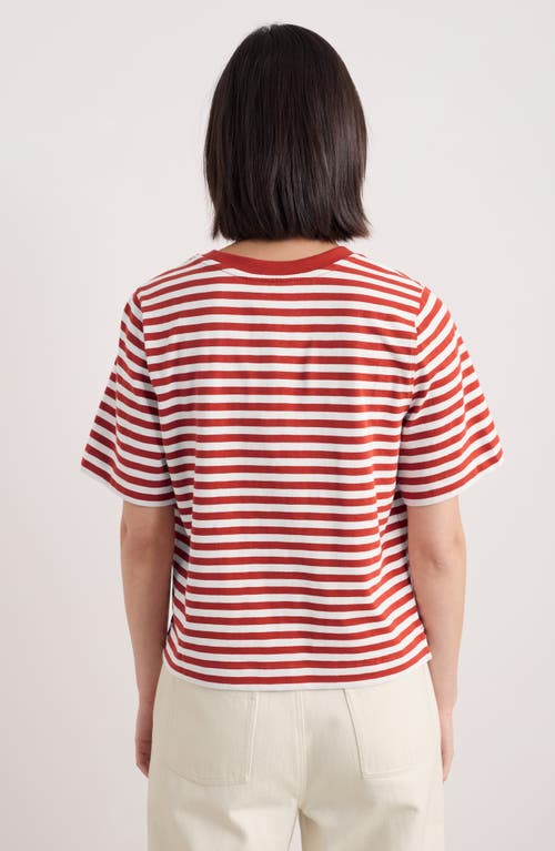 Shop Seasalt Cornwall Copseland Stripe Organic Cotton T-shirt In Cornish Chalk Dark Cinnamon