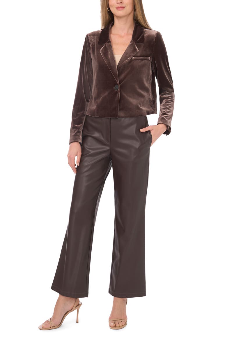 Velvet Crop Blazer, Alternate, color, CHOCOLATE