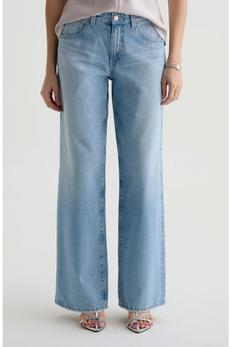 Adria Low Rise Baggy Wide Leg Jeans, Main, color, MONDRIAN