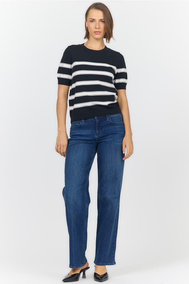 Amaris Short Sleeve Crew Neck Stripe Sweater, Alternate, color, Black And Grey