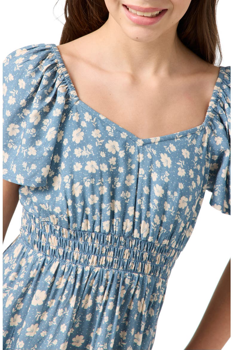 Kids' Langley Primrose Floral Dress, Alternate, color, PROVINCIAL BLUE