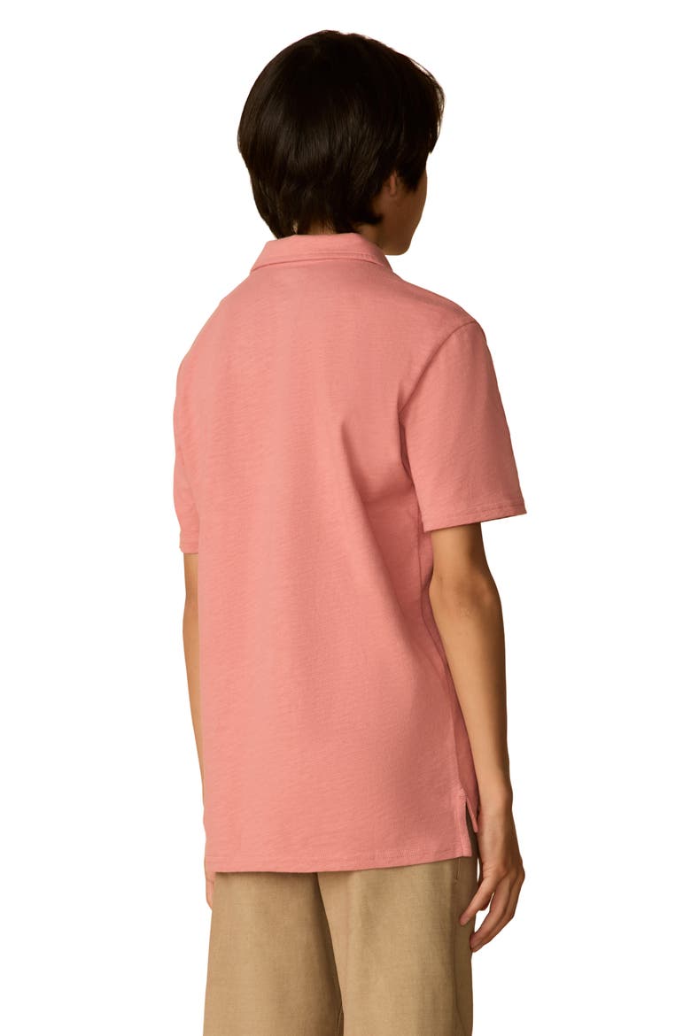 Kids' Sun Washed Organic Cotton Polo, Alternate, color, FADED FLAG