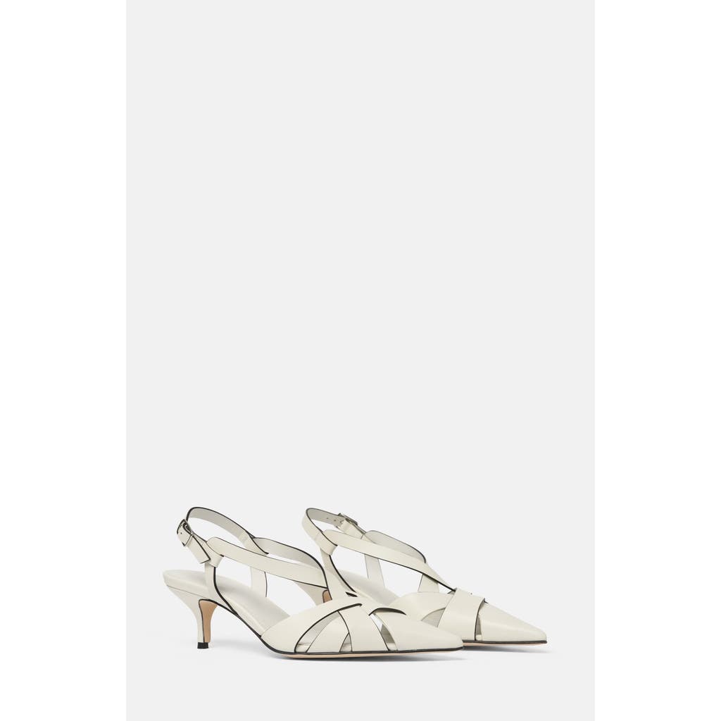Shop Scarosso Clio Pumps