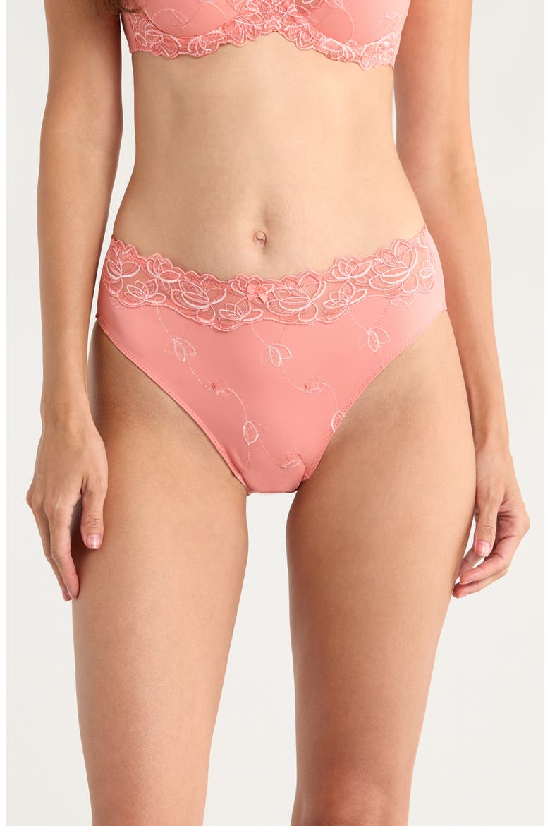 Diva Embroidered Mesh Panties, Main, color, LANTANA
