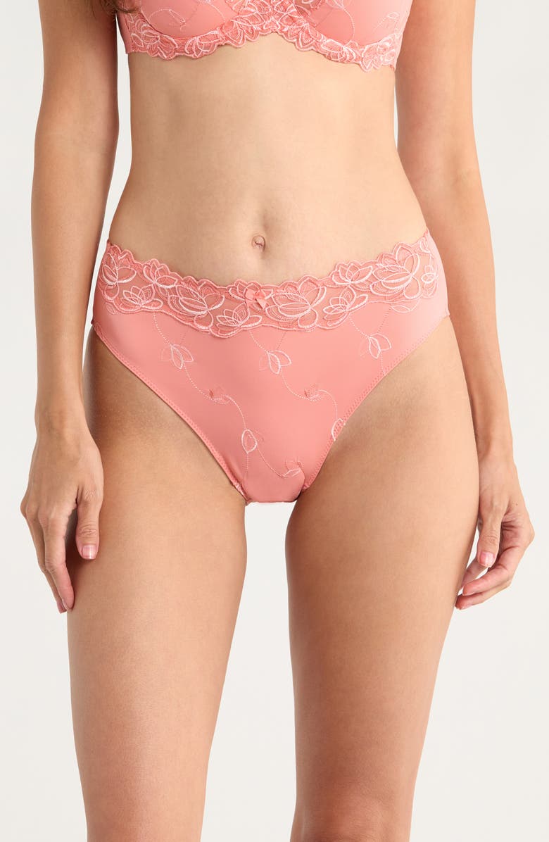 Hunkemöller Diva Embroidered Mesh Panties, Main, color, 