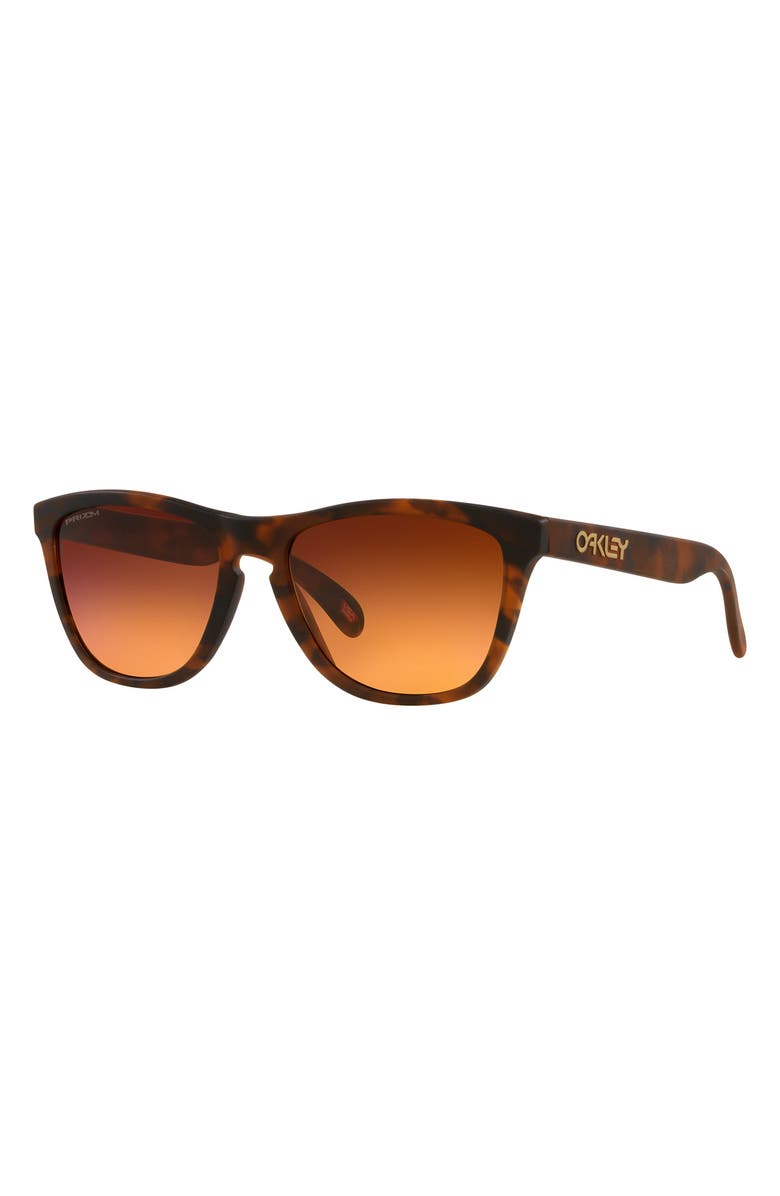 Oakley Frogskins 54mm Gradient Rectangular Sunglasses, Alternate, color, 