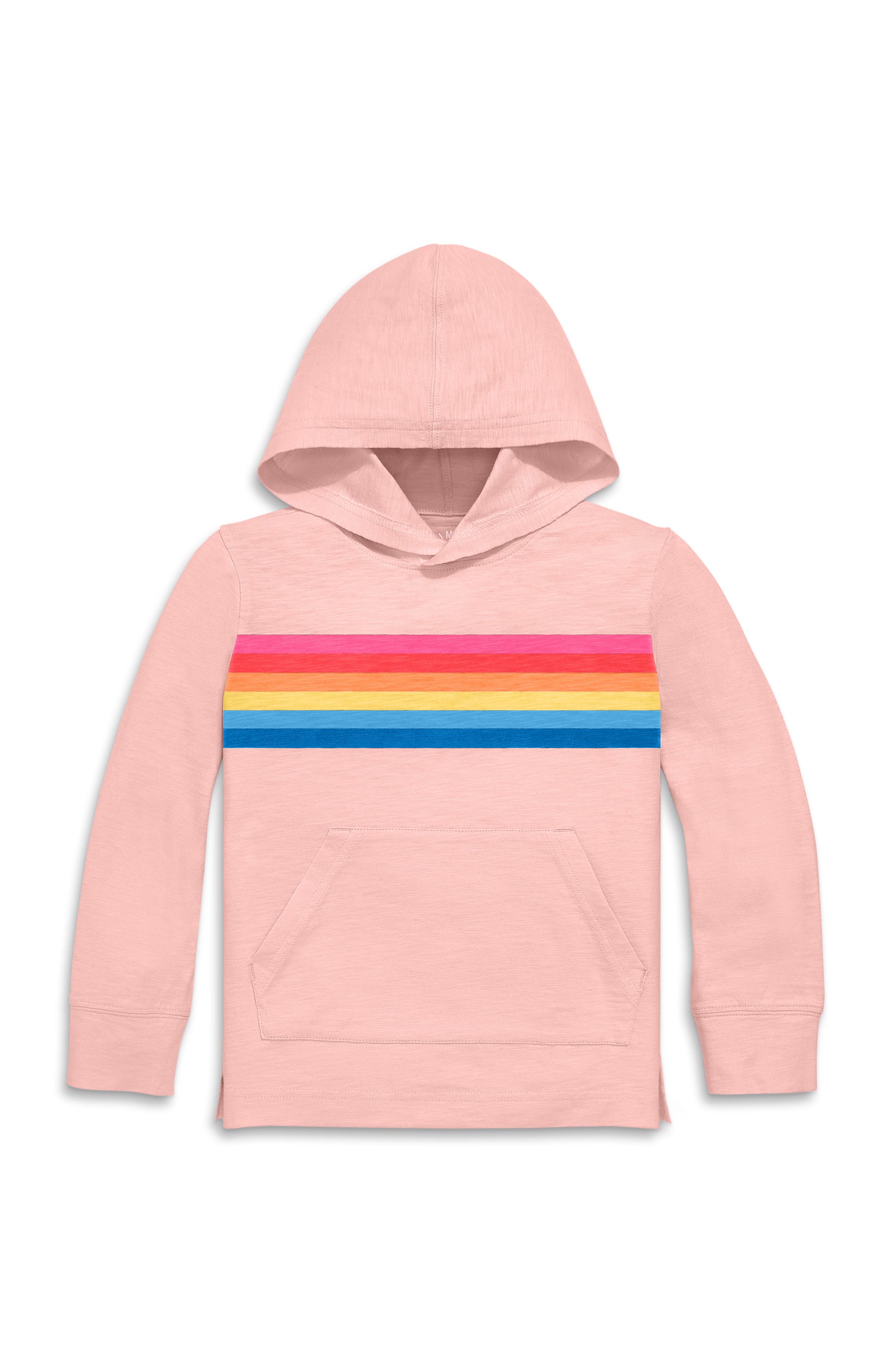 Flamingo Rainbow Banner