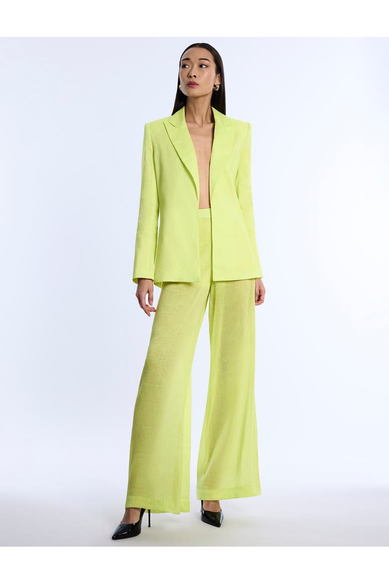 Airy Textured Blazer, Alternate, color, Chartreuse