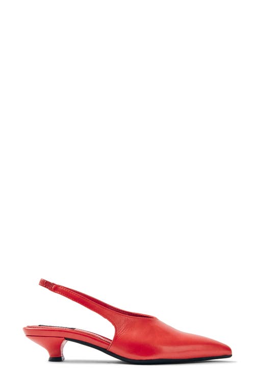 Alohas Eros Slingback Pointed Toe Kitten Heel Pump