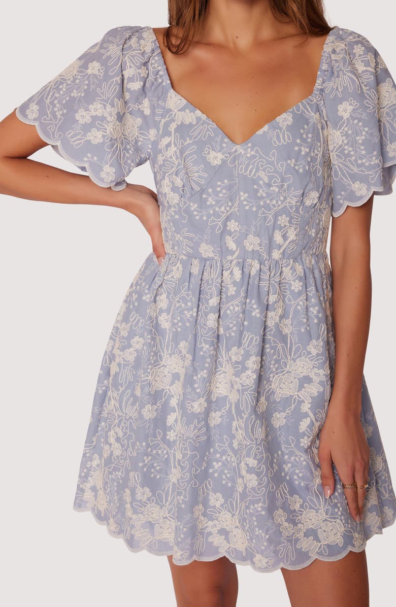 Lost + Wander Springtide Embroidered Flutter Sleeve Minidress, Alternate, color, 