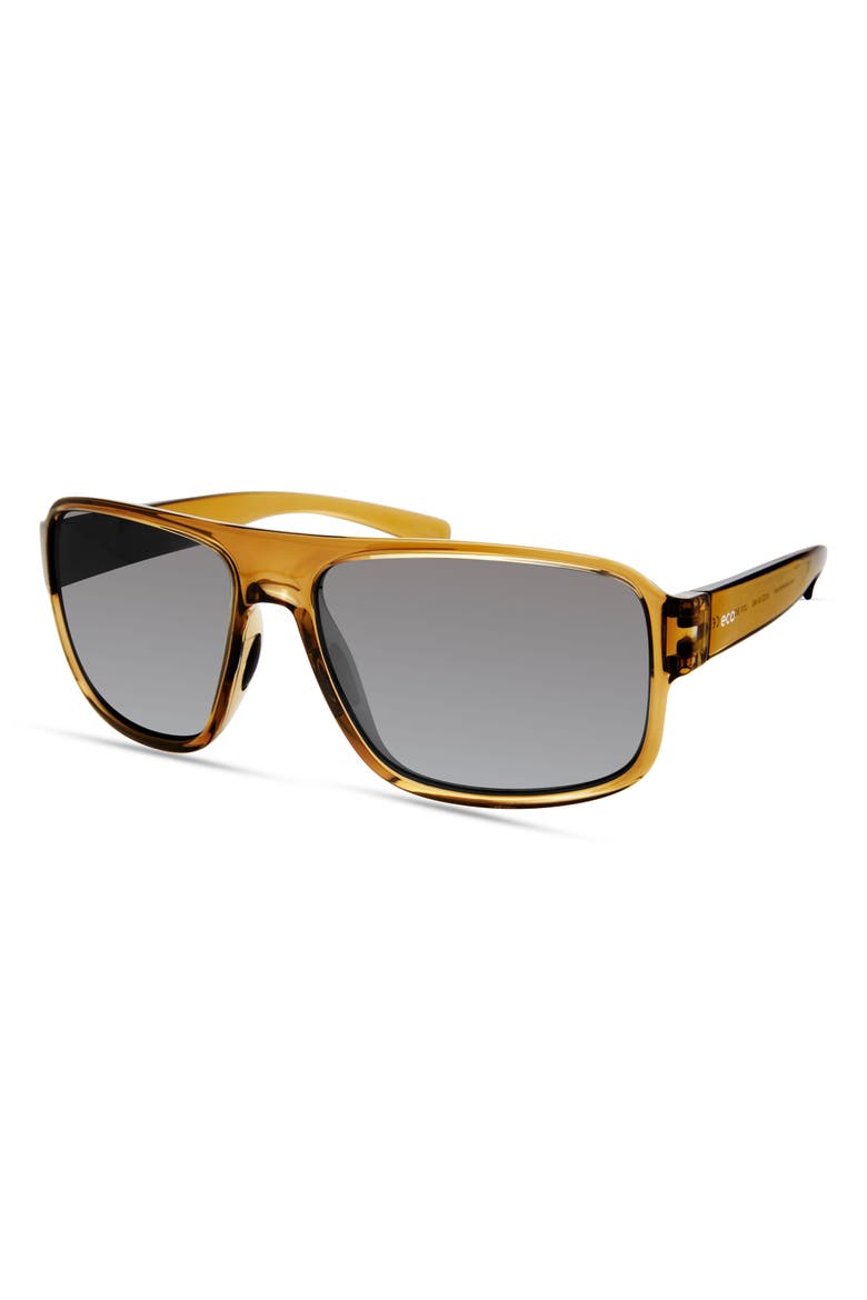 Levi Sunglasses, Alternate, color, Brown Olive
