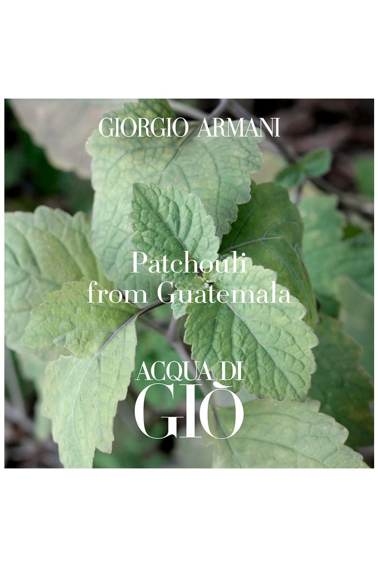 Acqua di Gio Profondo Eau de Parfum Set USD $182 Value, Alternate, color, NO COLOR