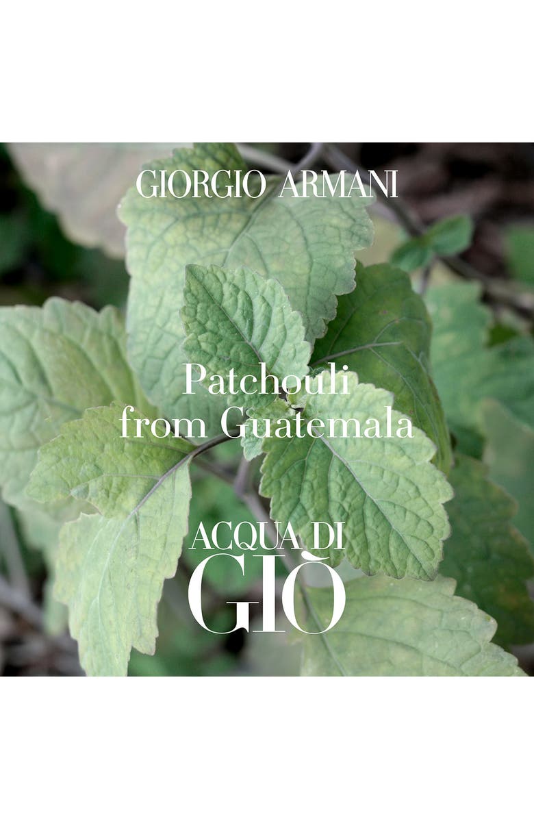 ARMANI beauty Acqua di Gio Profondo Eau de Parfum Set USD $182 Value, Alternate, color,