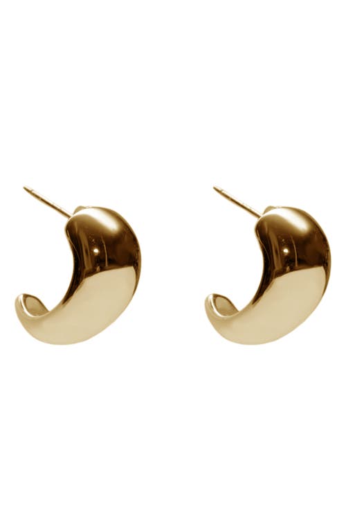 Argento Vivo Sterling Silver Chubby Hoop Earrings In Gold