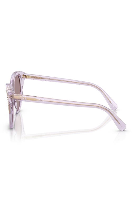 Swarovski 53mm Butterfly Sunglasses