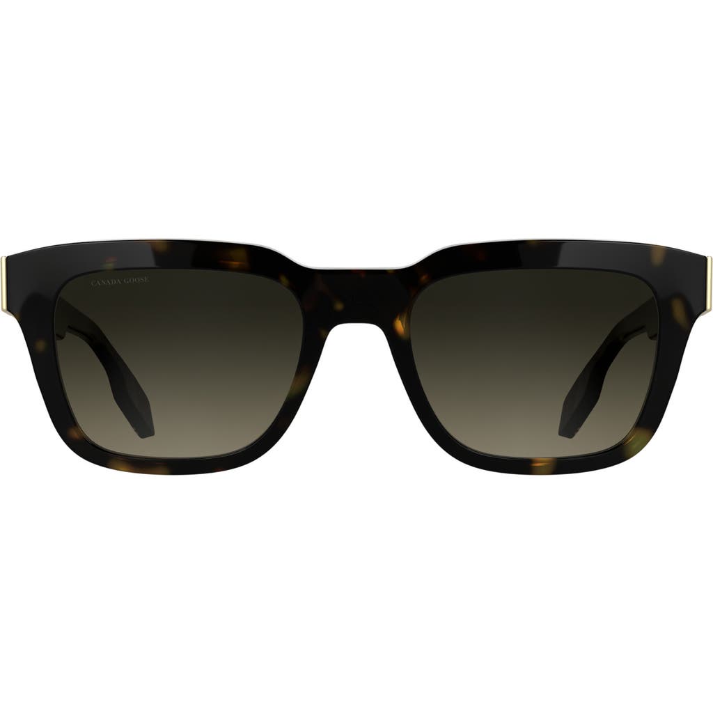 Canada Goose 52mm Rectangular Sunglasses In Dark Havana