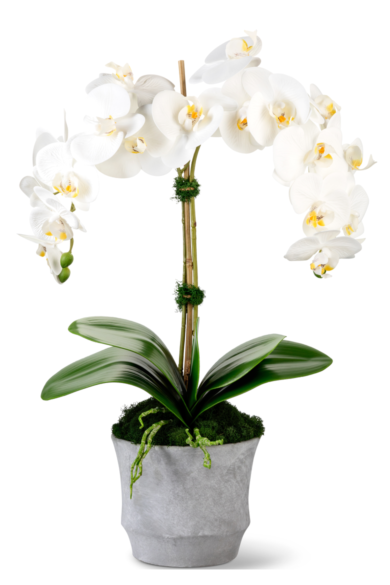 Rosalyn RealTouch Orchid, Main, color, Snow