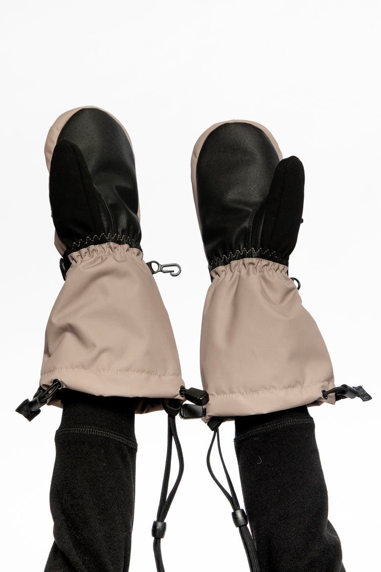 Waterproof Teknik Cordura Winter Mittens, Alternate, color, Taupe