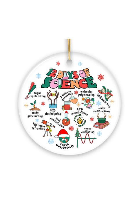 12 Days Of Science Holiday Ceramic Ornament