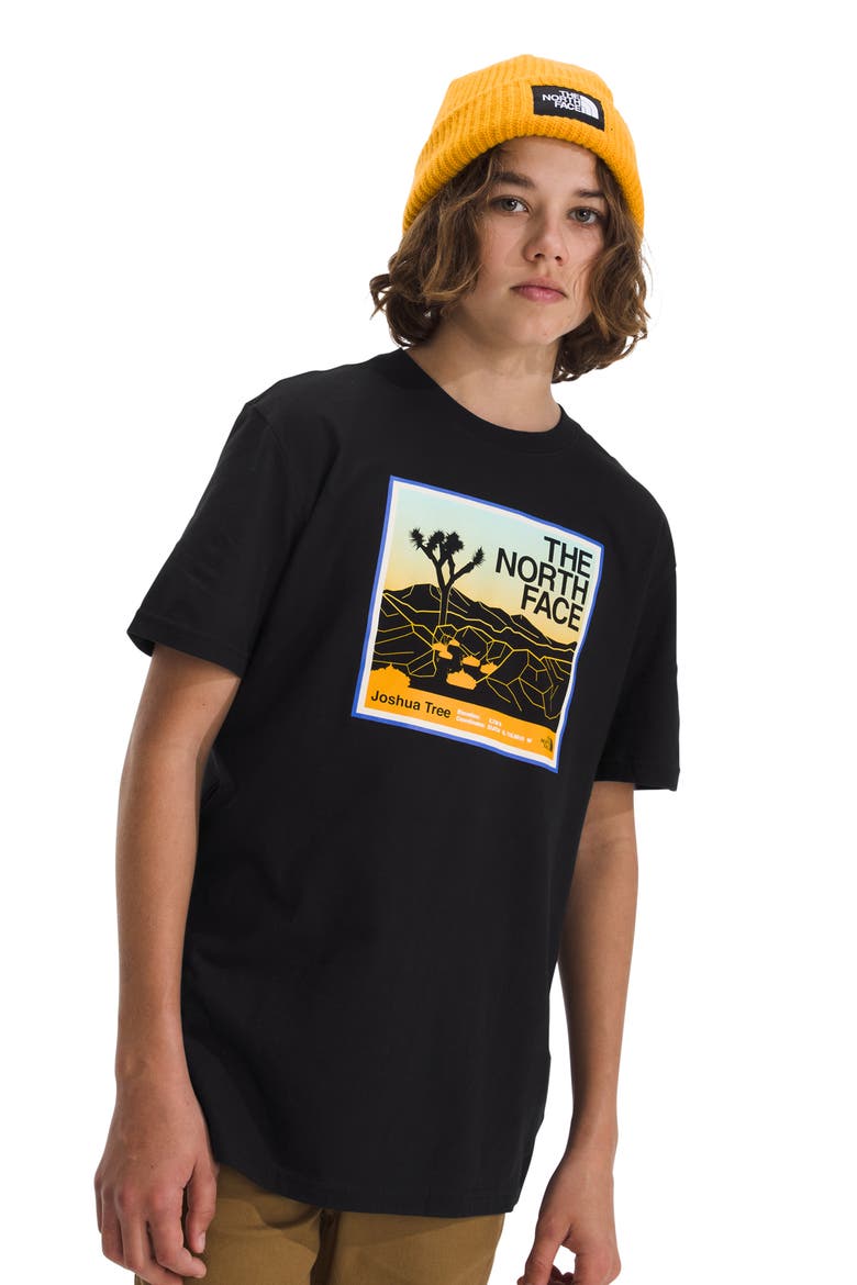 Kids' Adventure Cotton Graphic T-Shirt, Alternate, color, THE NORTH FACE BLACK