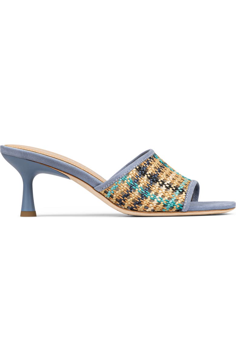 Donald Pliner Raffia Slide Sandal, Alternate, color, Navy Multi