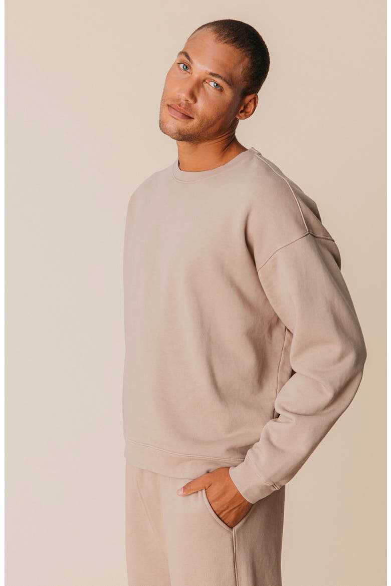 Men's Organic Cotton Teddy Oversized Crewneck, Alternate, color, Fawn