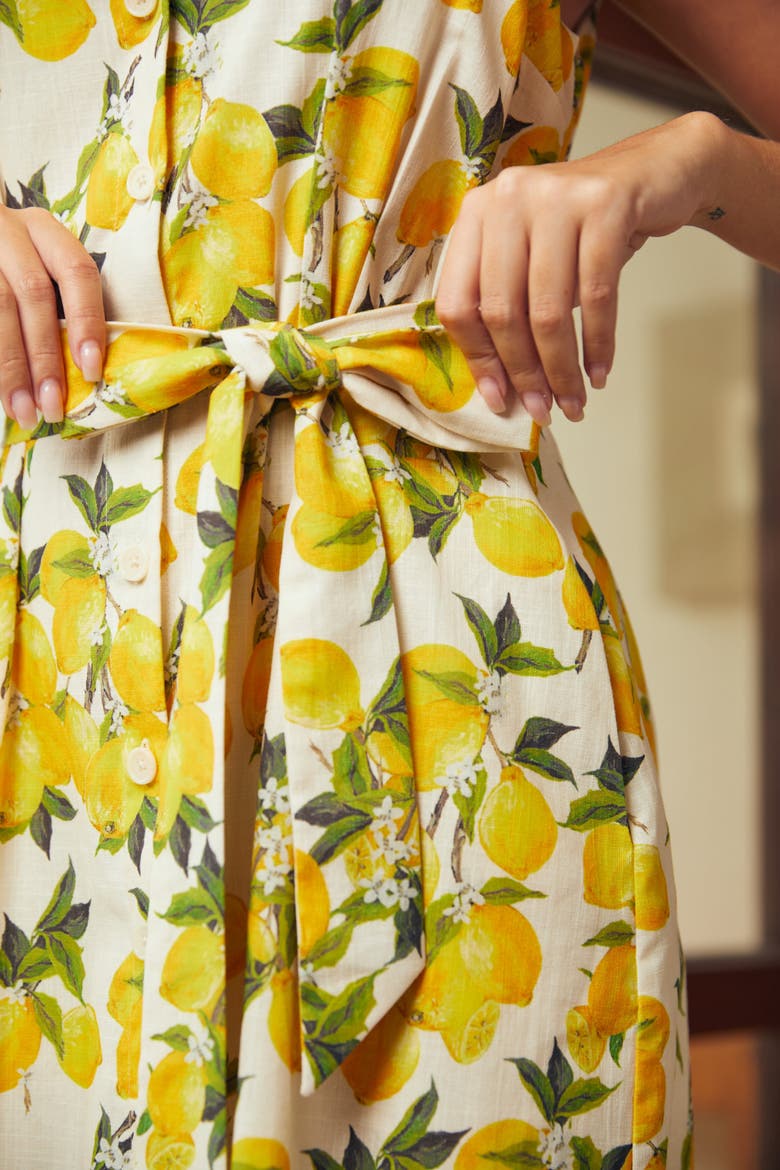 Can't Slow My Roll Shirt Dress with Pockets, Alternate, color, Lemon Spritz