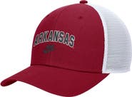 Nike Men's Nike Cardinal Arkansas Razorbacks Vintage Arch Rise Performance Trucker Adjustable Hat