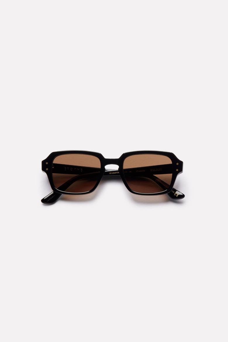 Wilson Sunglasses, Alternate, color, Black/ Brown