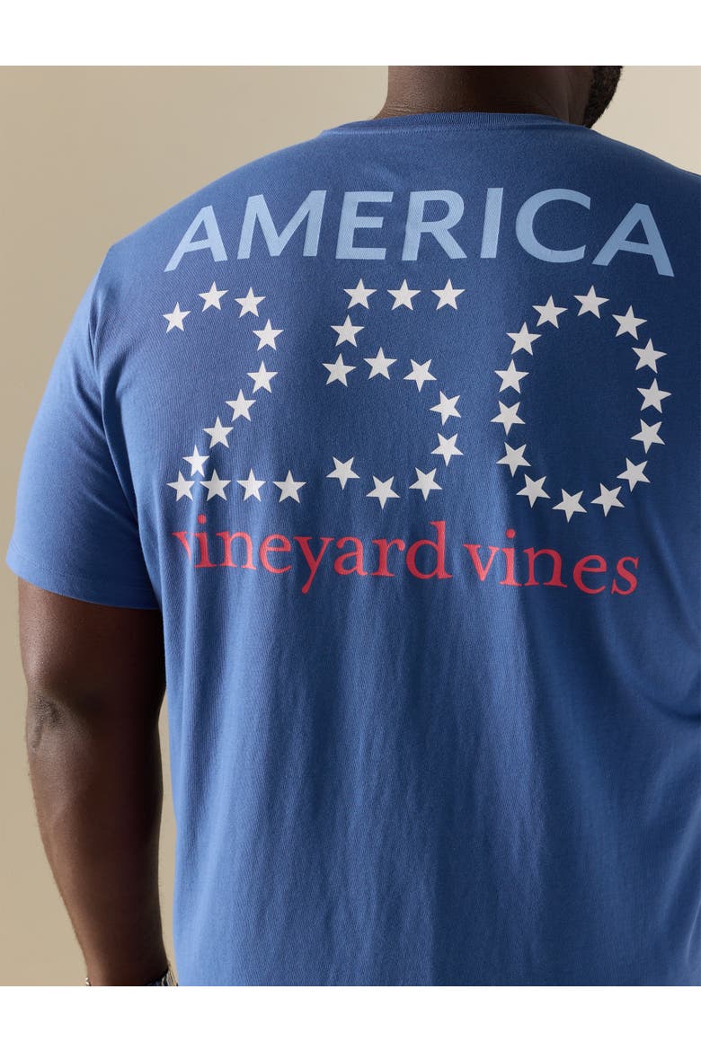 Big & Tall Americana 250 Pocket T-Shirt, Alternate, color, MOONSHINE