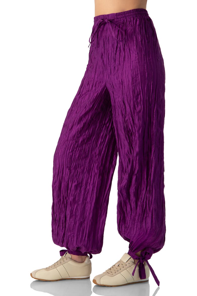Pleated Pants with Ankle Ties, Alternate, color, Purple