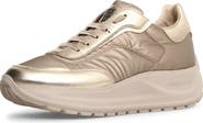 Candice Cooper Spark Platform Sneaker