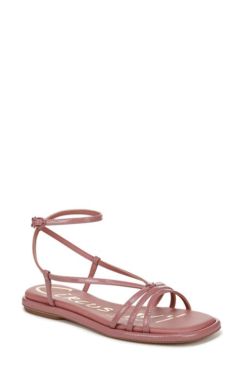 Circus Ny By Sam Edelman Olana Strappy Flat Sandals In Berry Blush