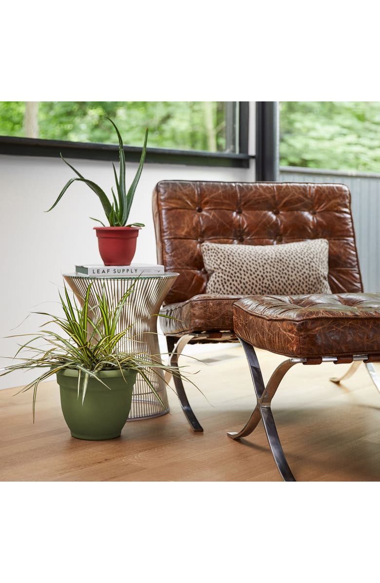 Bloem 16 Inch Ariana Pot Planter, Alternate, color, Green