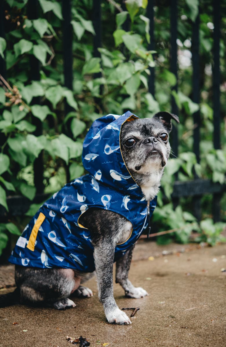 Lucy & Co. The Shark Attack Reversible Dog Raincoat, Alternate, color,