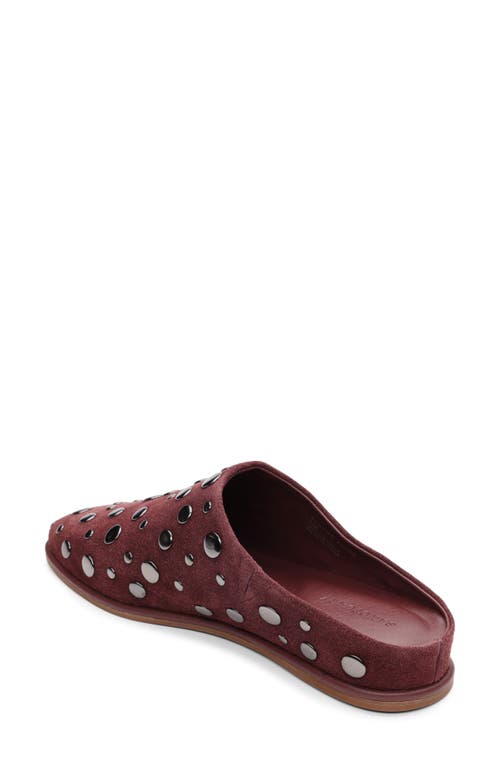 Sanctuary Bari Stud Mule In Brown