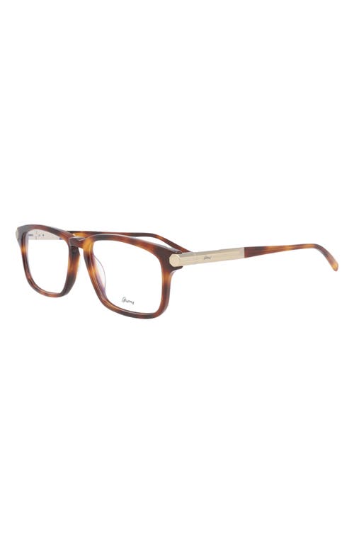 Brioni Novelty 55mm Rectangle Optical Glasses In Havana Havana Transparent