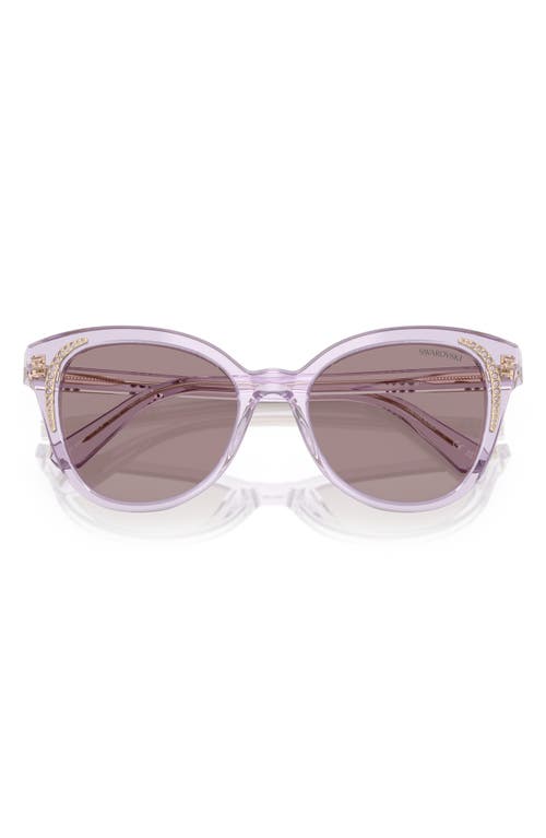 Swarovski 53mm Butterfly Sunglasses