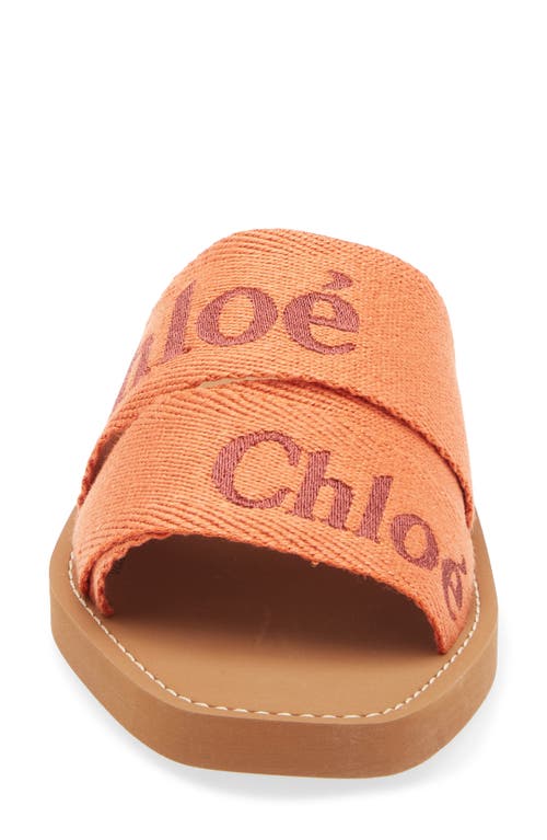 Chloé Slide Sandal In Multi