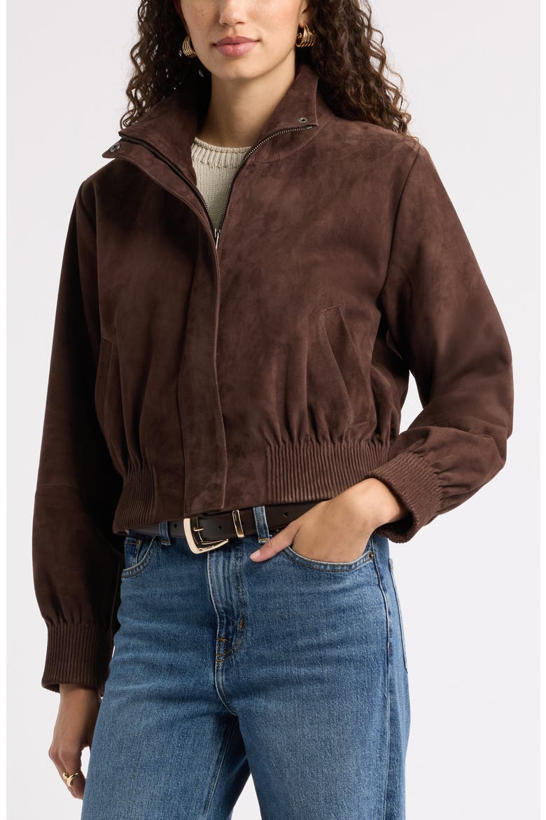 Funnel Neck Suede Bomber Jacket, Alternate, color, BROWN COFFEE