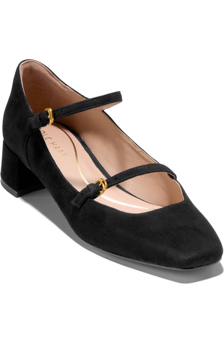 Cole Haan Paxton Mary Jane Pump, Main, color, Black Sde