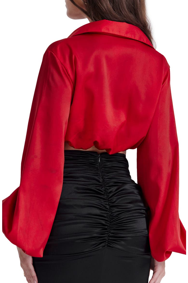 Laraine Plunge Neck Stretch Silk Crop Blouse, Alternate, color, RED ROSE