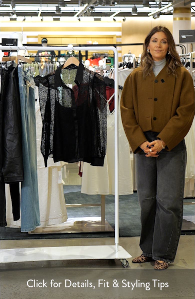 Embroidered Mesh Sheer Button Front Long Sleeve Blouse, sales video thumbnail