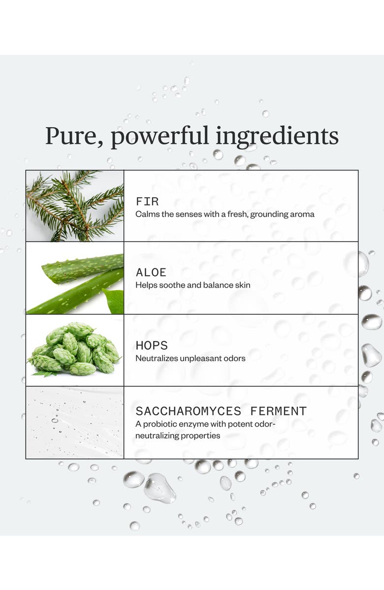 Ursa Major Forest Fix Spray Deodorant, Alternate, color, Dark Green