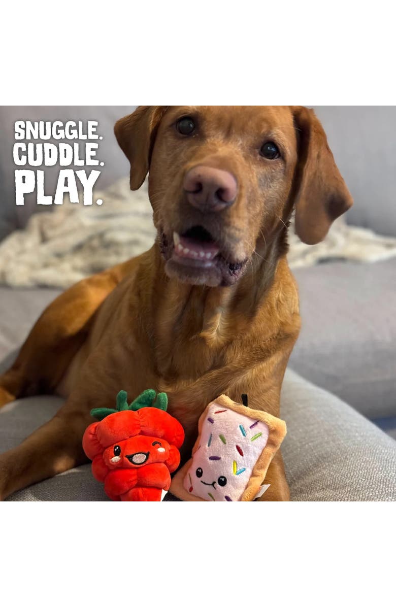 SnugArooz 2 Pack Plush Dog Toys, Alternate, color, Multicolored